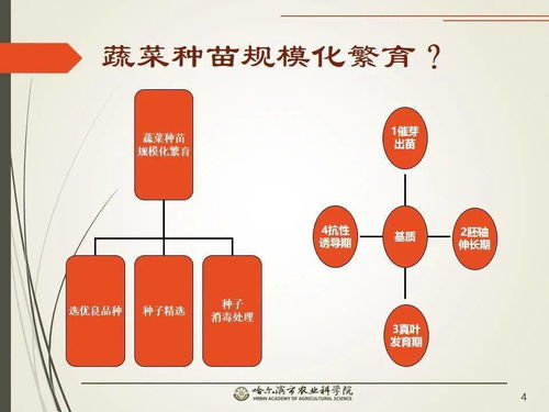 黨建引領(lǐng)謀發(fā)展 科技助農(nóng)備春耕 網(wǎng)絡(luò)課堂開啟工廠化育苗知識(shí)小百科